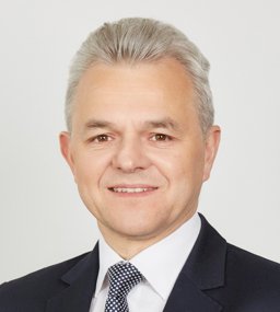 Jacek Dauenhauer - Członek, Wiceprezes Zarządu Pelion S.A.